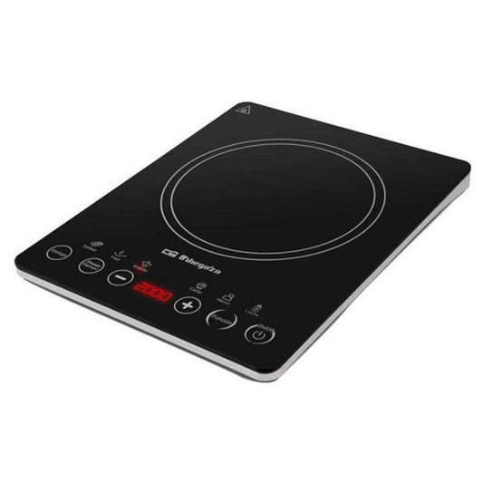 Induction plate PIC 4800